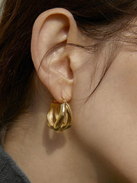 Plated Twist Earrings Photo 2