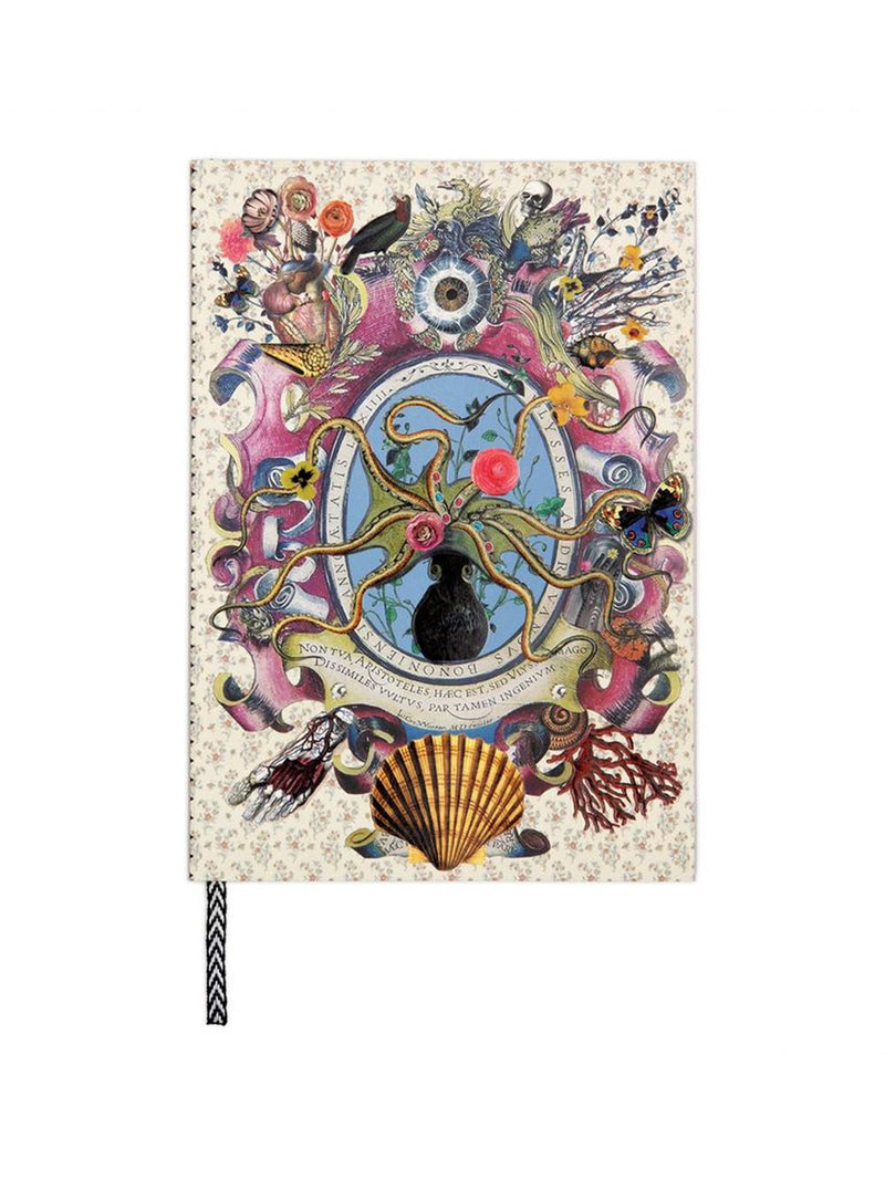 Curiosity Notebook