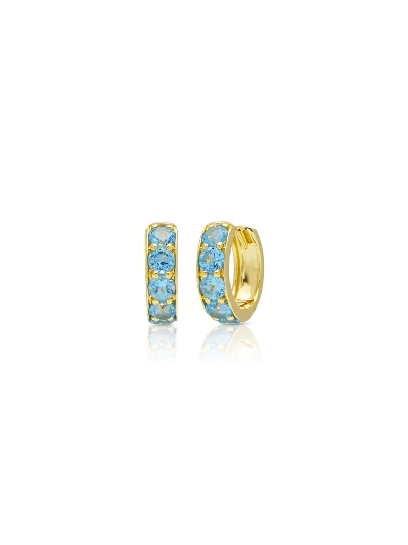 Huggie Earrings