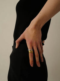 Gold and Silver Double Ring Photo 2