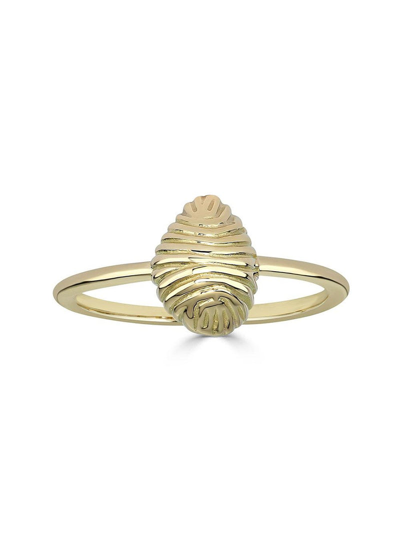 Small Thread and Shell Gold Ring