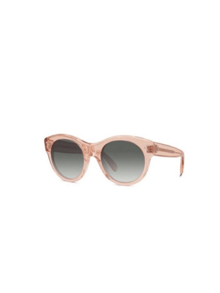 Rounded Bold Sunglasses