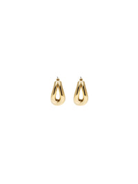 Plated Twist Earrings Photo 1